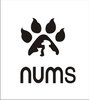 N.U.M.S TECHNOFASHIONS INDIA PVT LTD